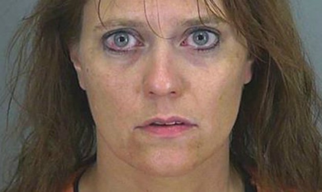 stephanie green south carolina