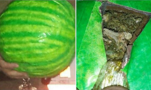 watermelon-drug-bust