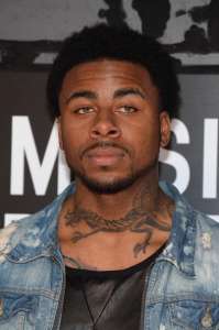 Sage the Gemini