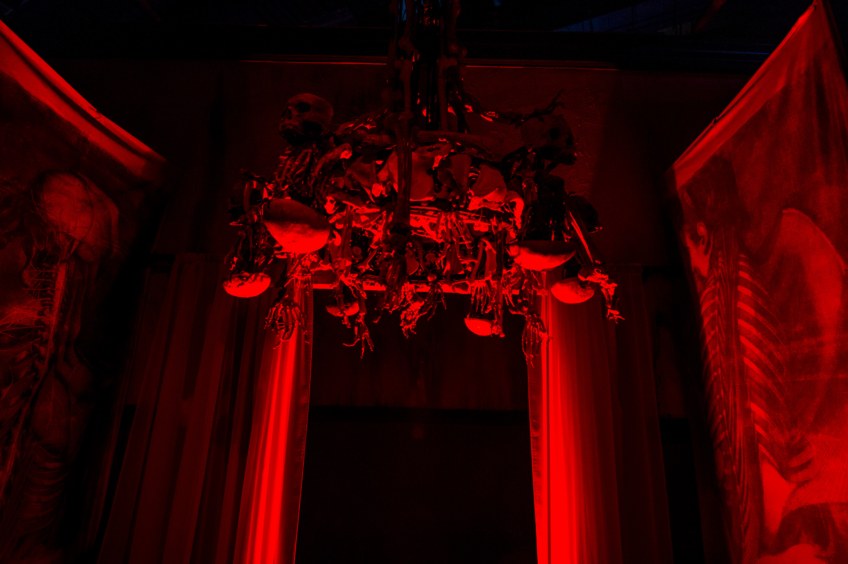 Body Collectors Universal Orlando Halloween Horror nights