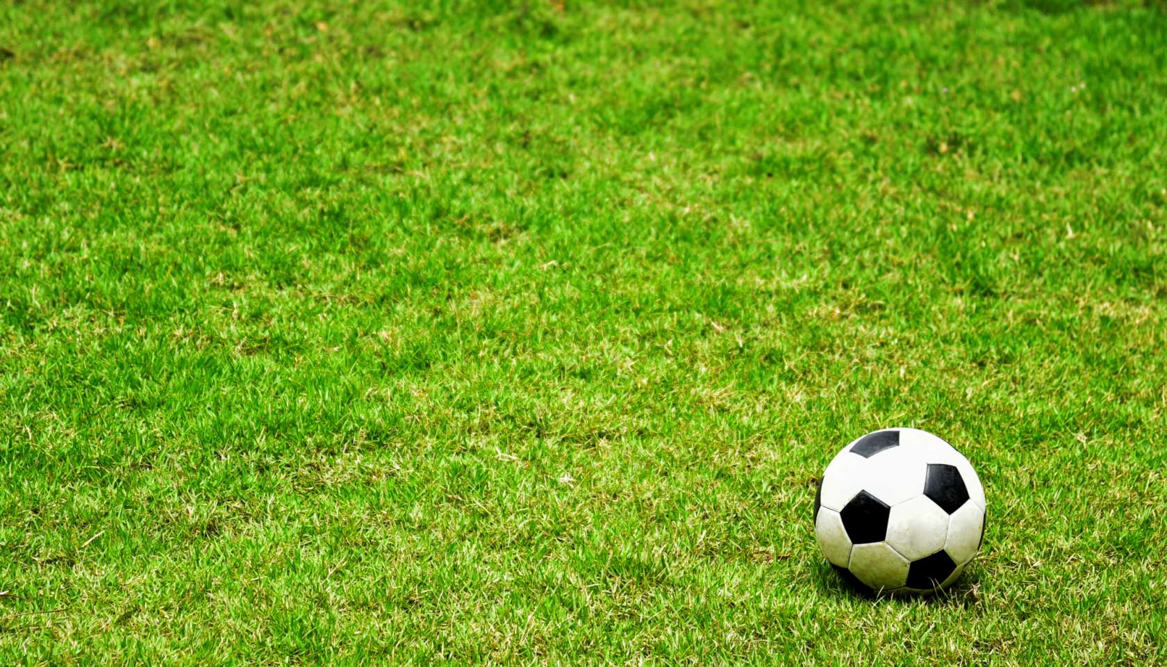 High Angle View Of Soccer Ball On Grassy Field