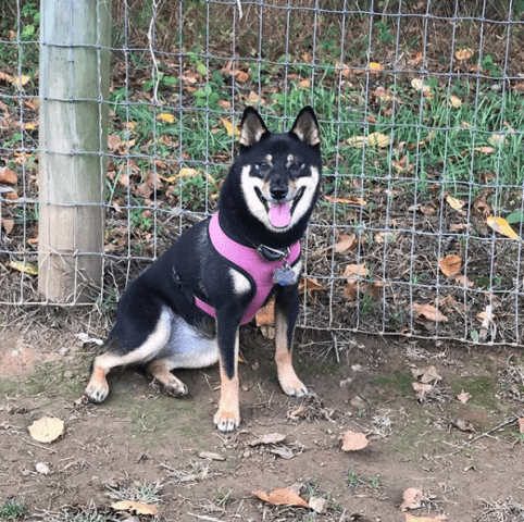 Kita Smiling (test)