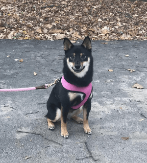 Kita Smiling (test)